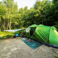 Forest Tent Pitch