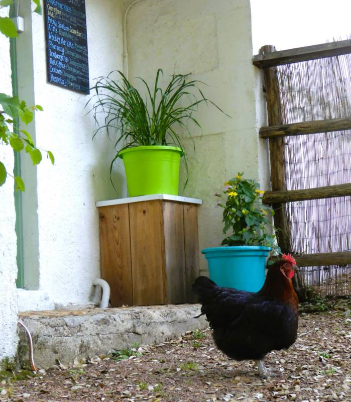 Grass pitch for Campers and Caravanners