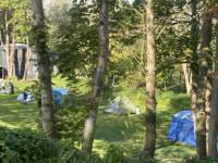 The Dell - small tent grass pitch