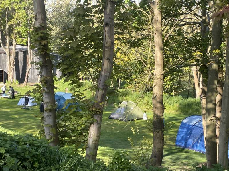 The Dell - small tent grass pitch