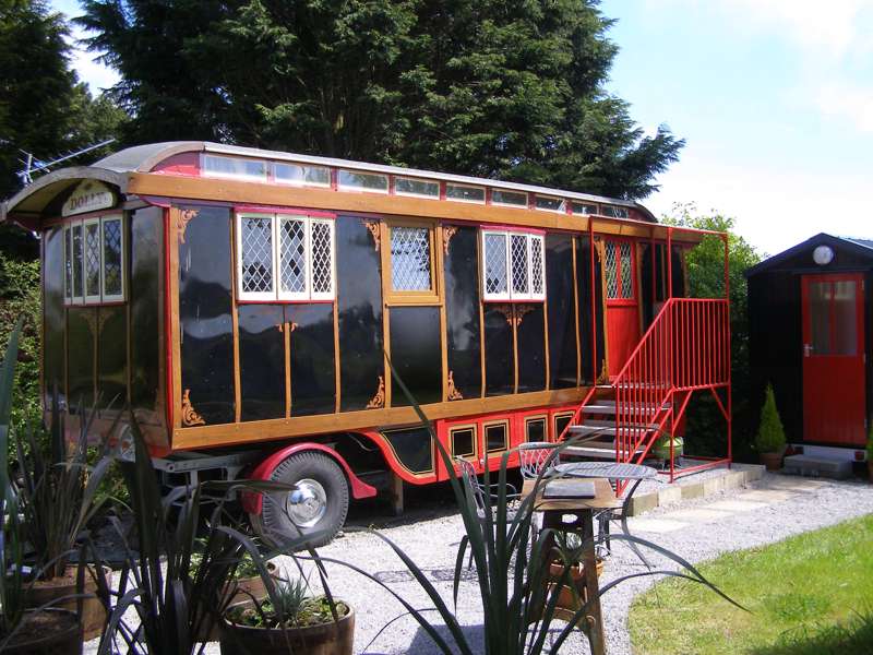 Dolly The Circus Waggon