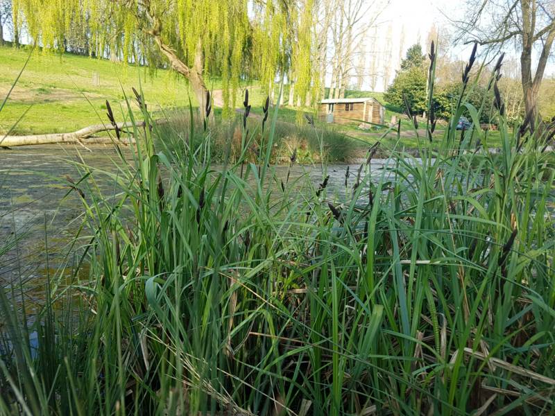 Hawthorn Ridge Bell Tent
