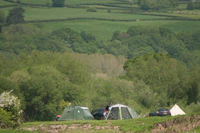 Grass Camping pitch