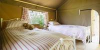 Lapwing Safari Tent