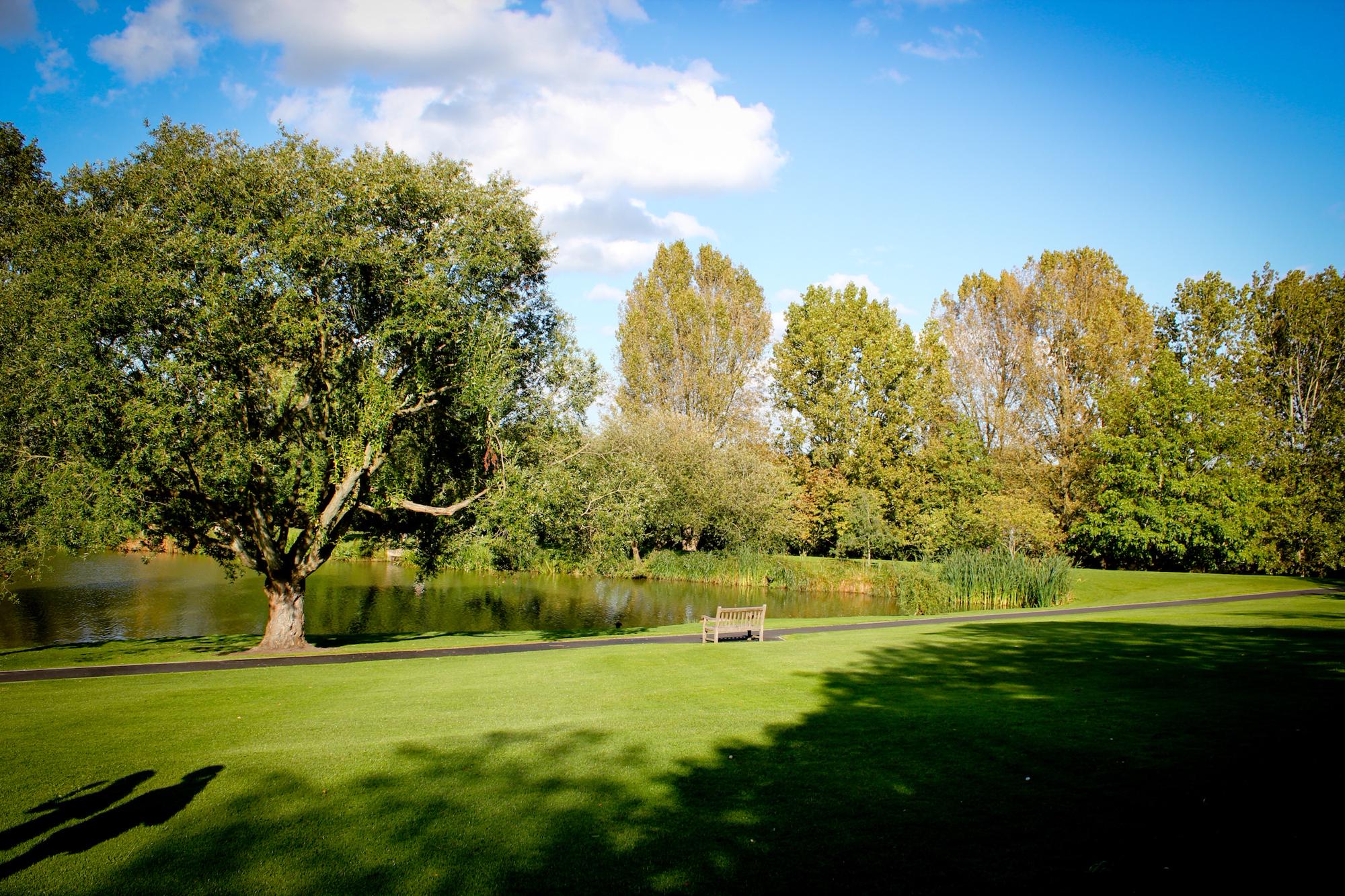 Horsley Camping | Campsites near Horsley, Surrey