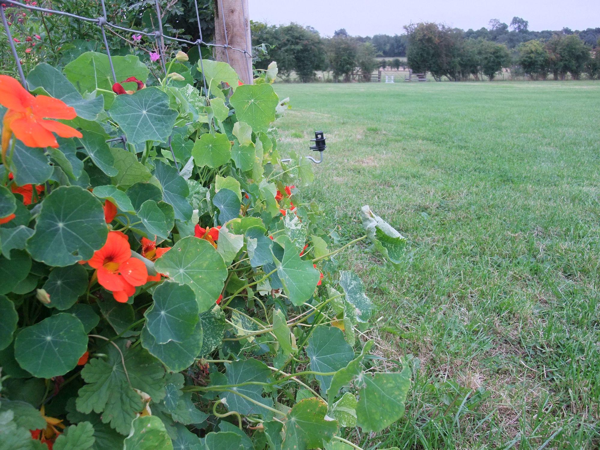 Lydney Camping | Campsites in Lydney, Gloucestershire