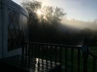 Willow yurt