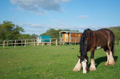 French Roulotte (sleeps 3 people)