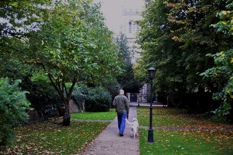 Eton walks