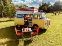 Peggy - A ray of sunshine! An iconic VW T2