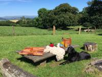 Little Links Yurt
