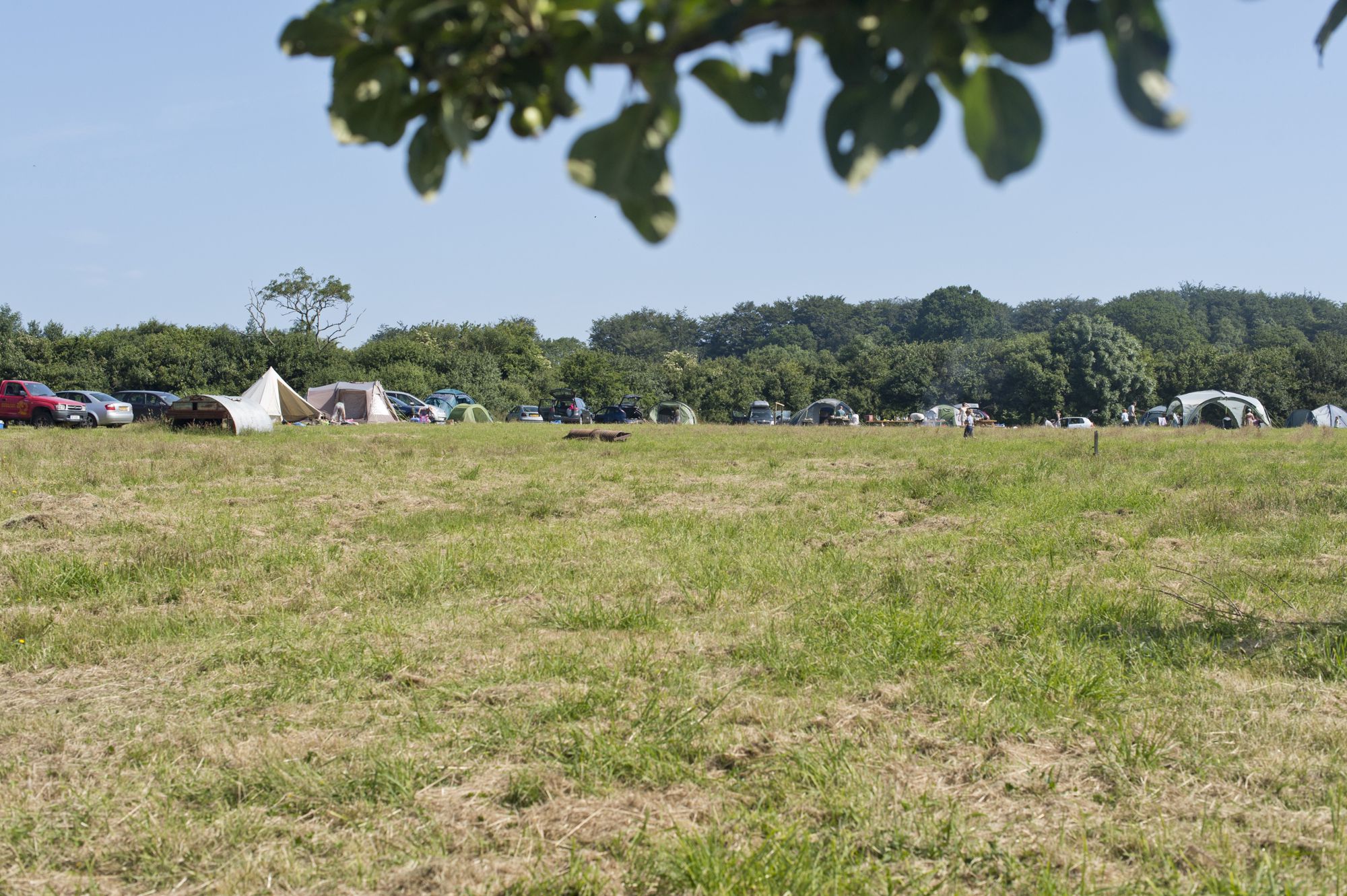 Brig's Farm, Lyme Regis
