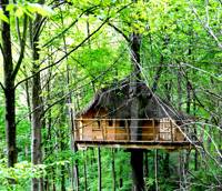 Treehouse glamping in a Normandy woodland