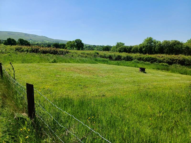 ANDROMEDA (Tent Pitch)