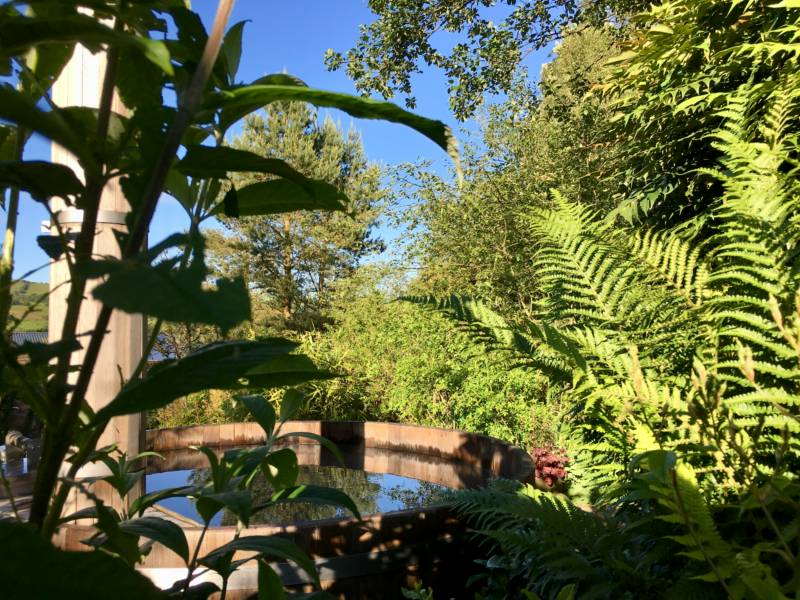 Tractor Shed Cottage