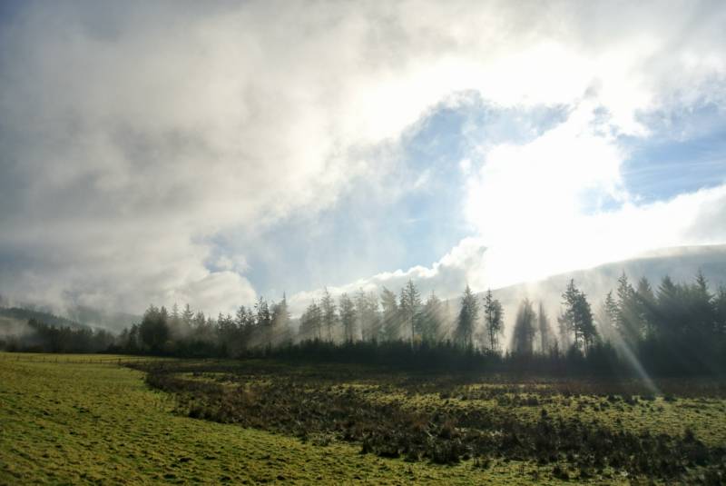 Ty Crwn Bach Idris - Yurt