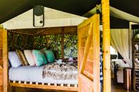 The Ivy Lodge