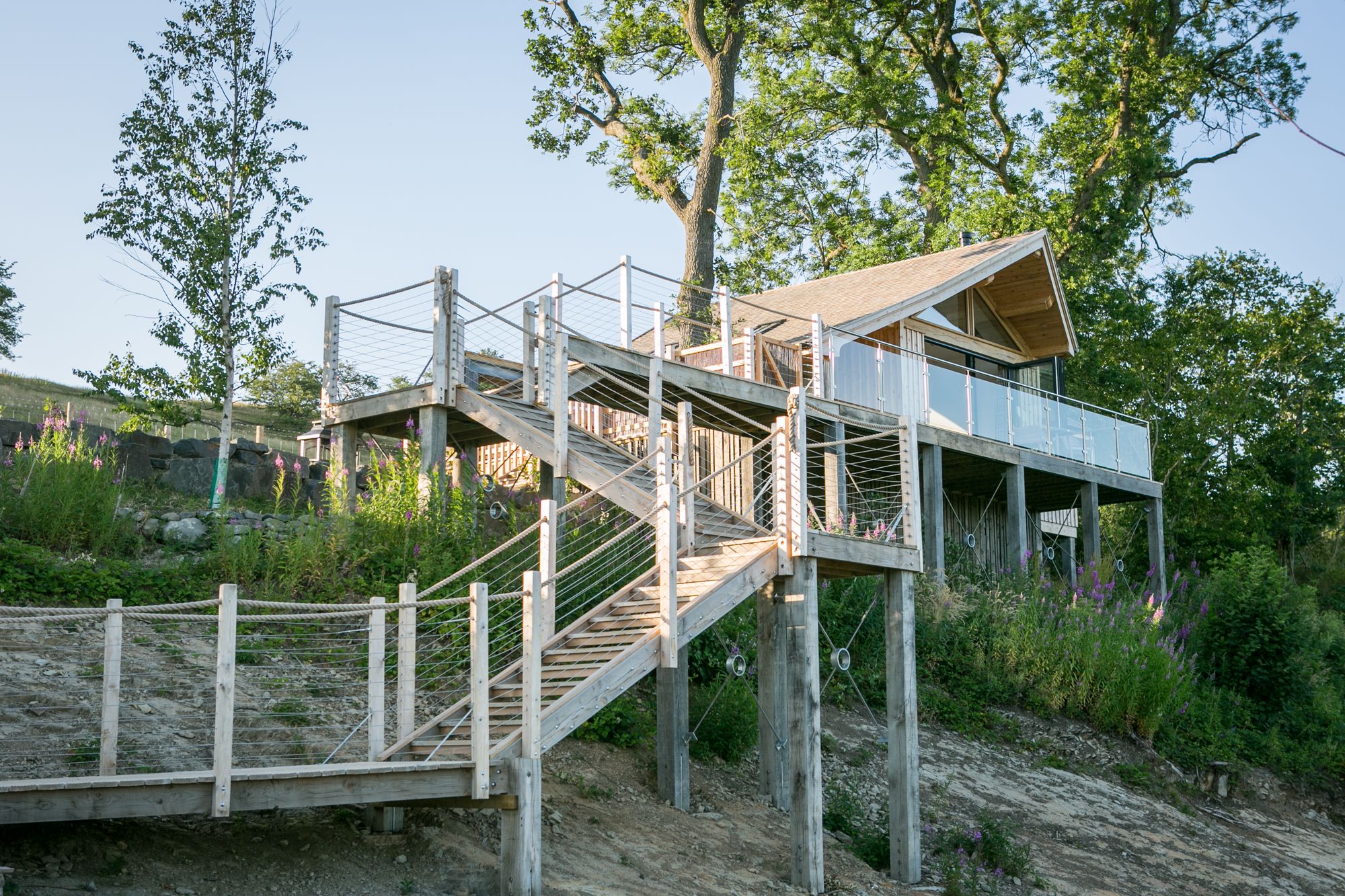 Glamping in Tree house holidays at Cool Camping