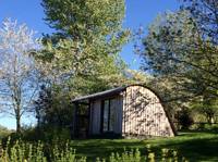 Willow POD