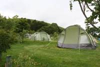 Tent Pitch With Electricity