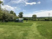 Grass Pitch