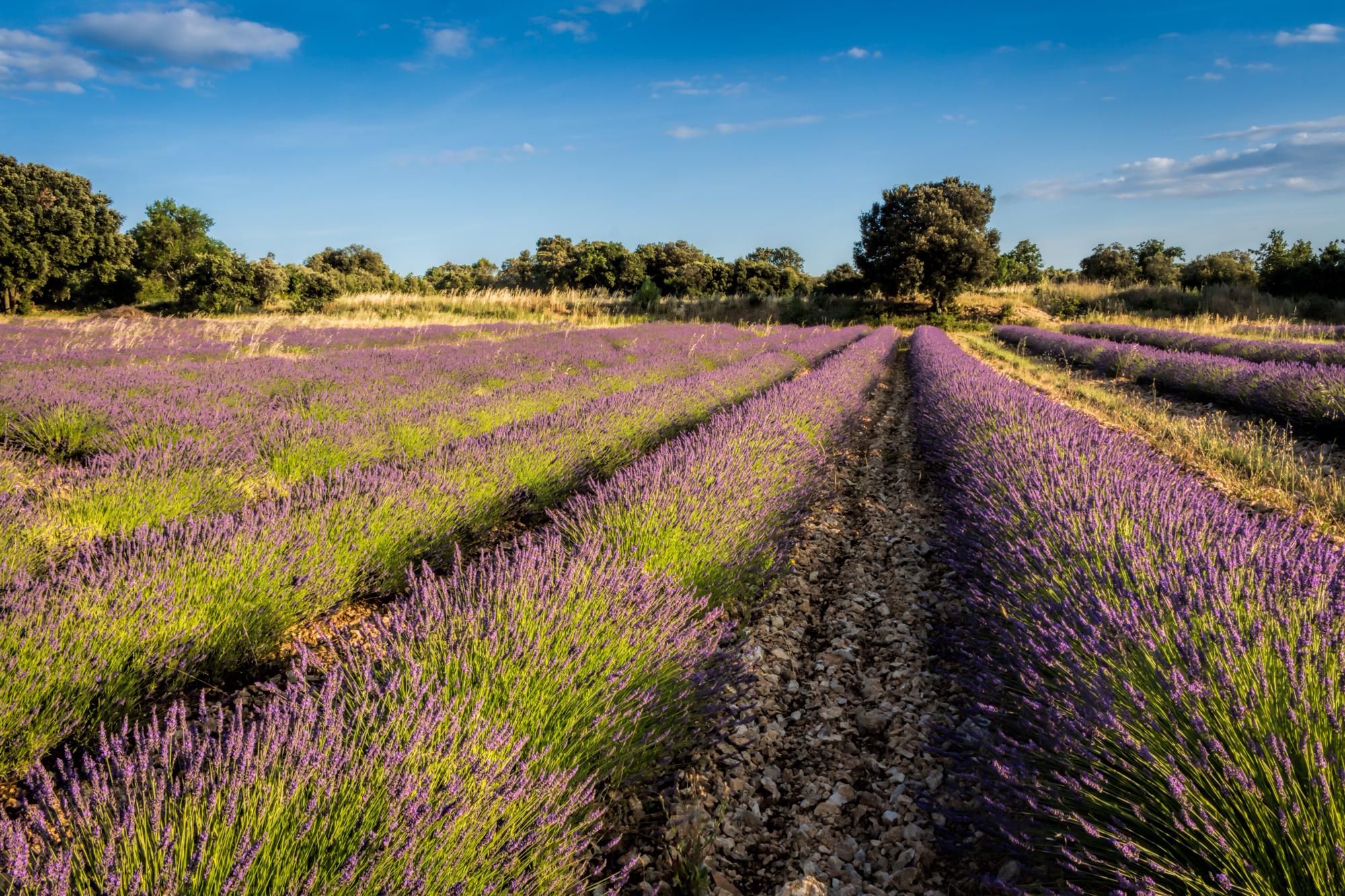 Glamping in Hérault | Best Glamping Sites in Hérault
