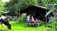 Canvas Lodge With Farmhouse Shower - sleeps 6