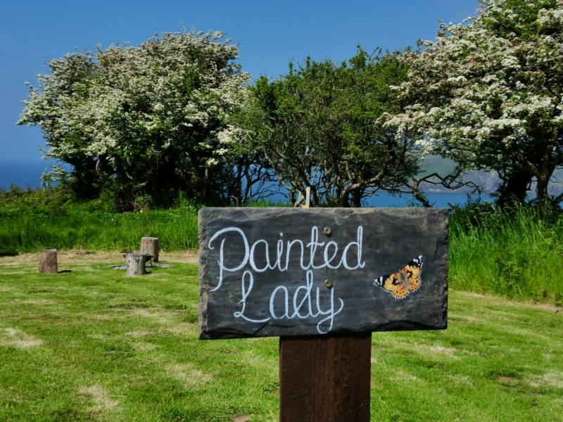 Meadow Grass Pitch 1