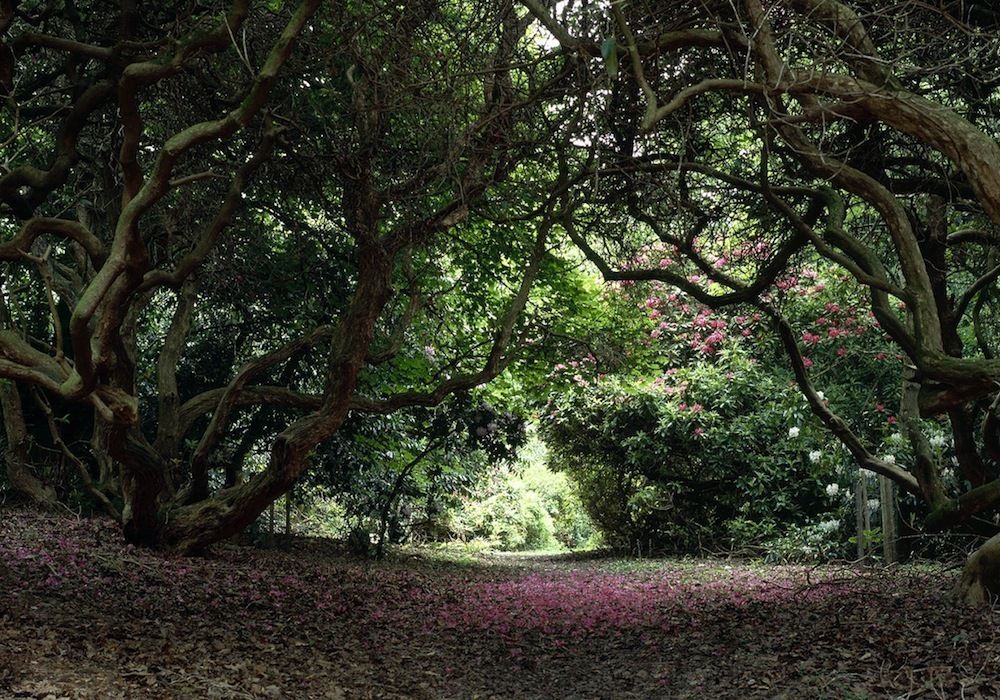 Shropshire