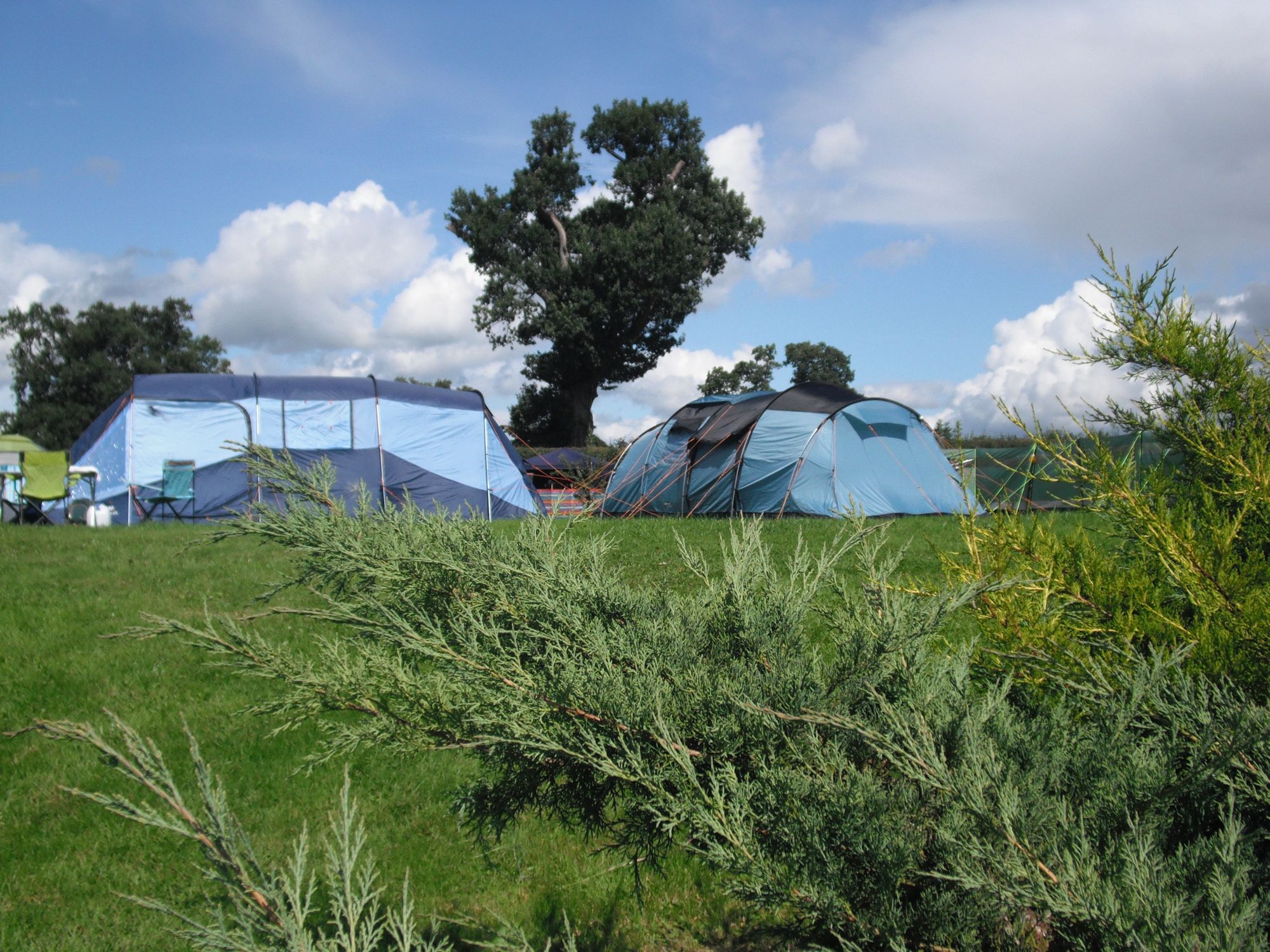 Glamping in Llandovery – Cool Camping