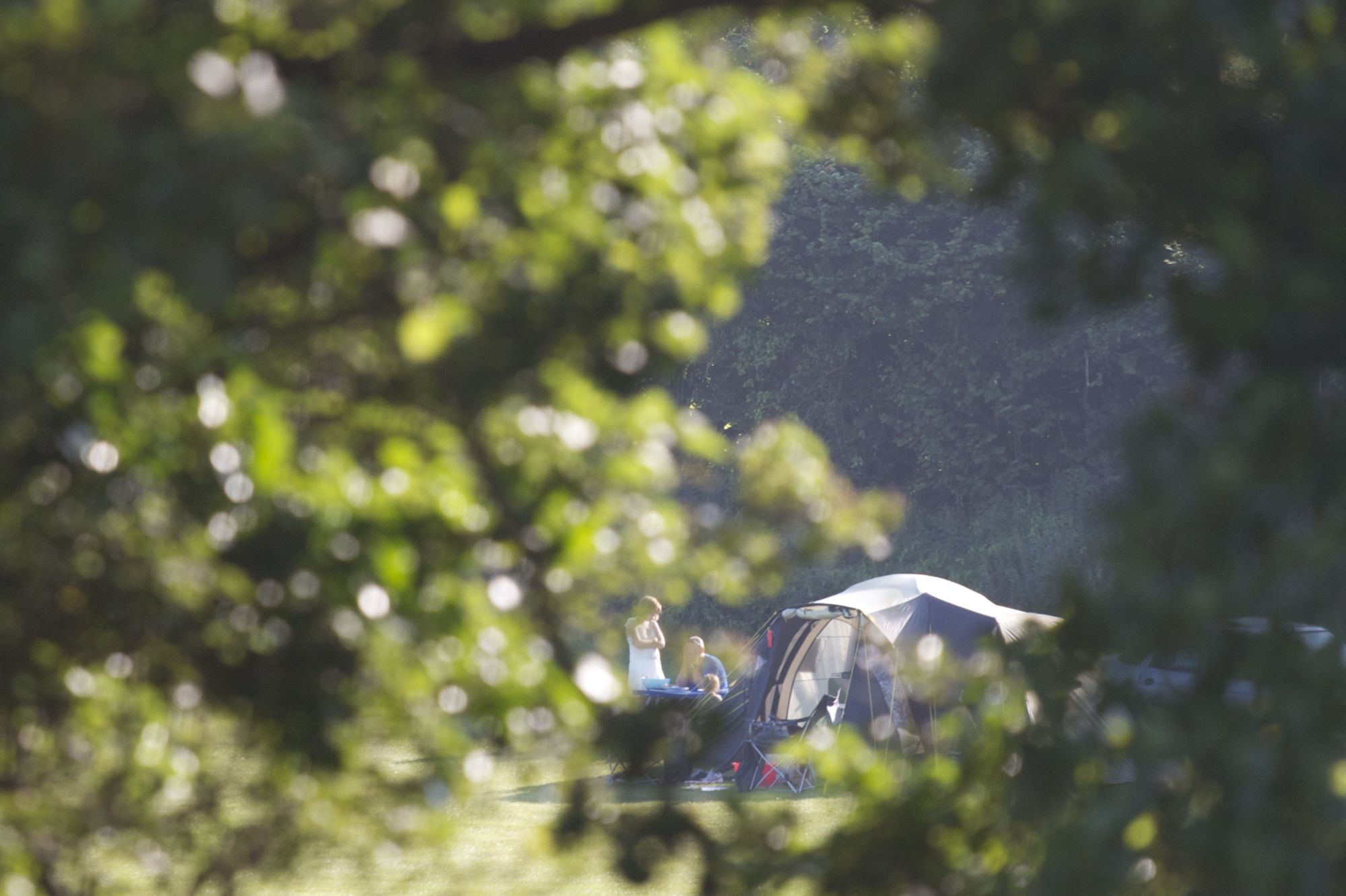 Family-friendly campsites in Dorset
