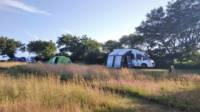 Grass Pitch 1 (optional electric hook-up)