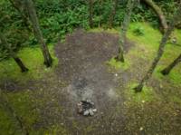 Woodland Tent Pitch 7 (3.5m x 3.5m)