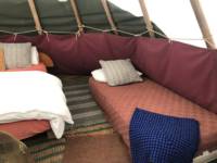 Robin Tipi