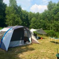 Forest Tent Pitch