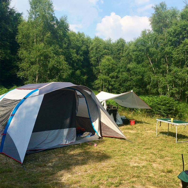 Forest Tent Pitch
