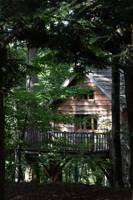 "Panda" Family Tree House