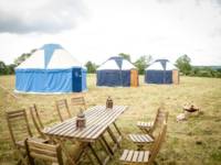 Pilton Yurt Camps- Gordon's Field West