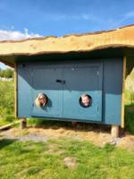 The Bird Hide