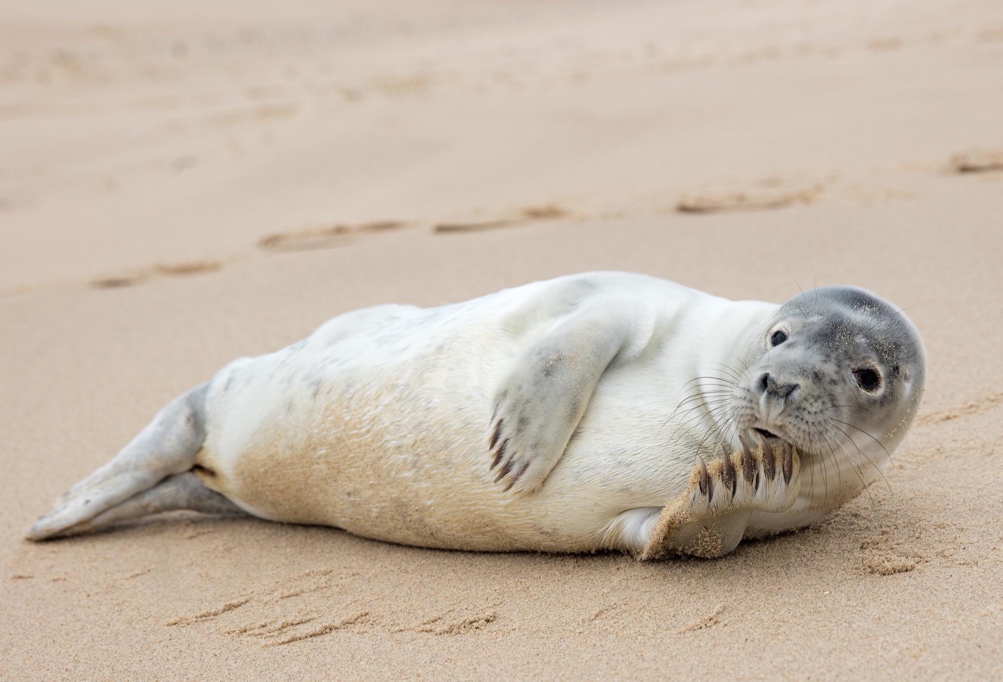 Winterton Beach