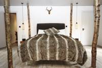 Amy Johnson Suite