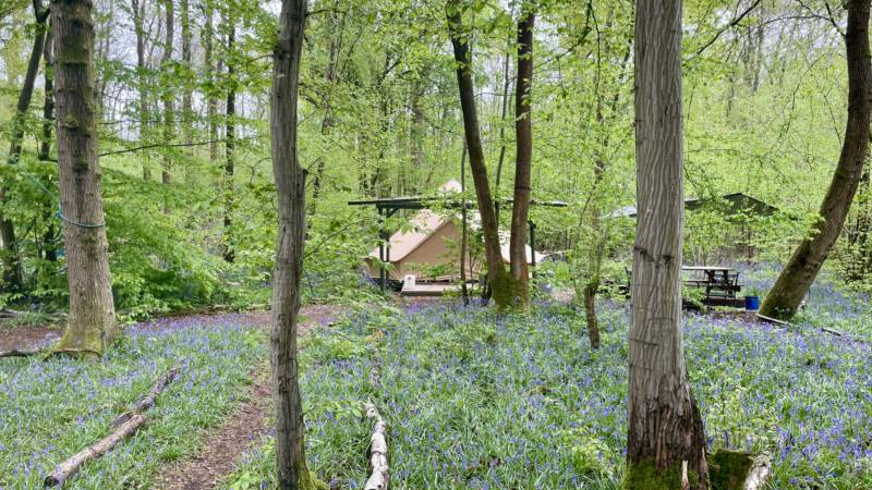'Wild Glamping' Bell Tent