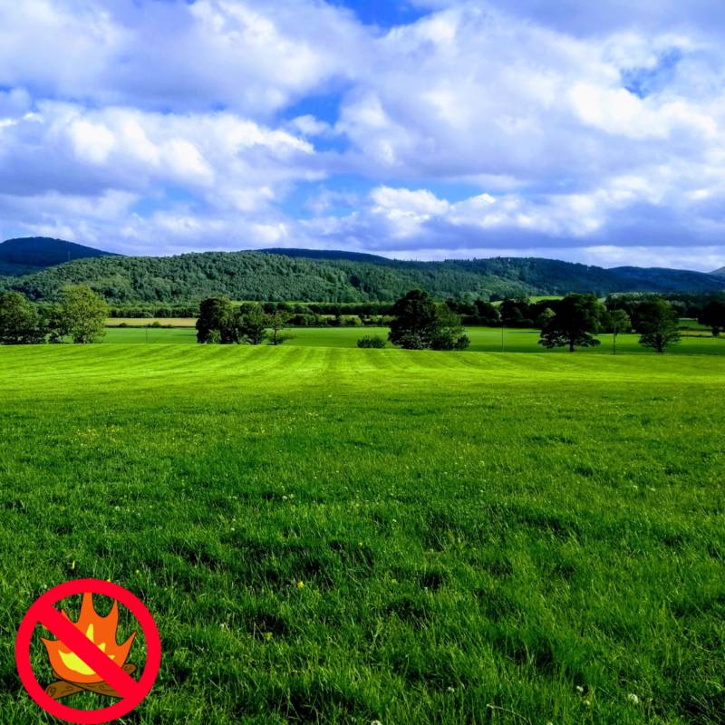 The Slow Worm Field  (1 tent only)