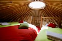 Willow yurt