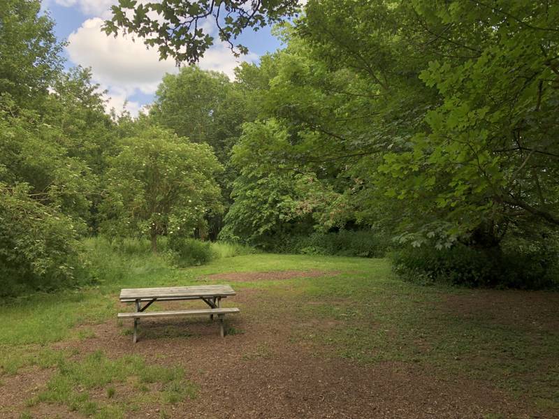 Grass Pitch for a Campervan/Tent