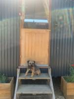 Shepherd Hut Meadow