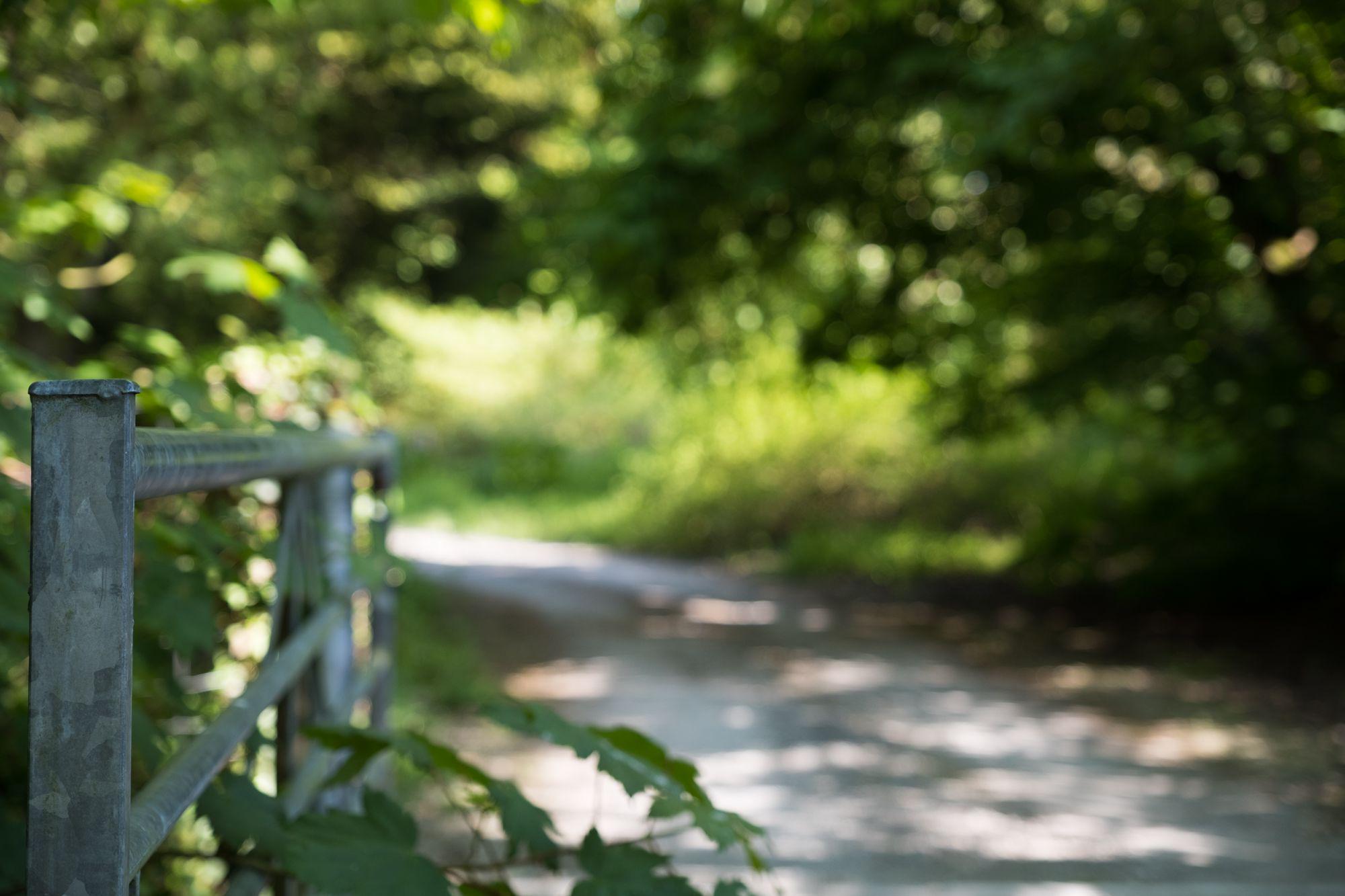 Cardigan Camping | Campsites in Cardigan, West Wales
