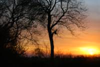 Burrington Tipi