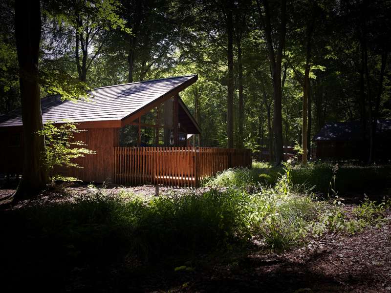 Win a weekend break with Forest Holidays