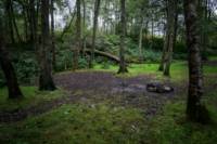 Woodland Tent Pitch 7 (3.5m x 3.5m)